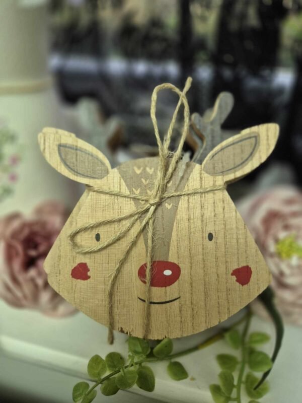 Reindeer Coaster Set