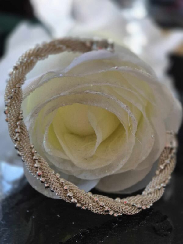 Sliver Bangle in Gift Box