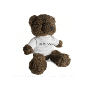 Romans Plush Teddy Bear